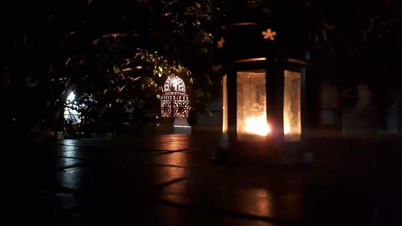 Palacete Dos Alcaides Minas de São Domingos エクステリア 写真