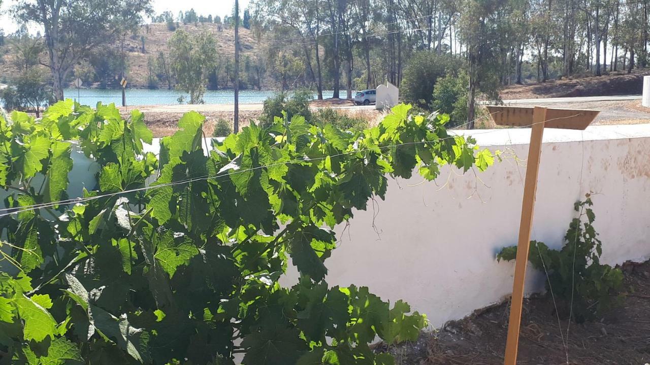 Palacete Dos Alcaides Minas de São Domingos エクステリア 写真