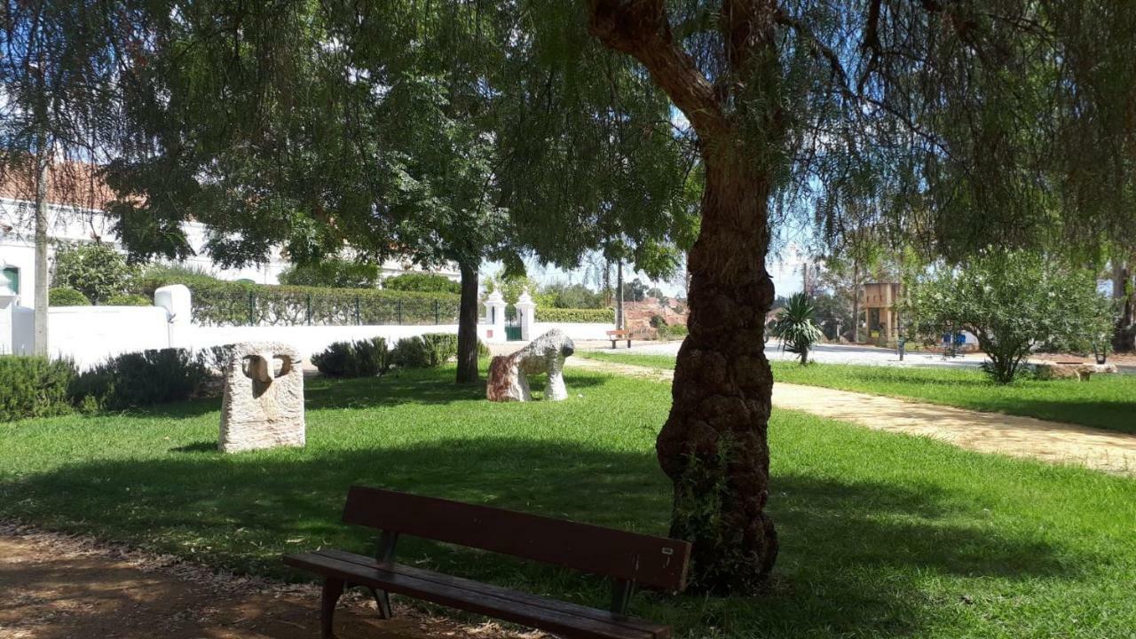 Palacete Dos Alcaides Minas de São Domingos エクステリア 写真