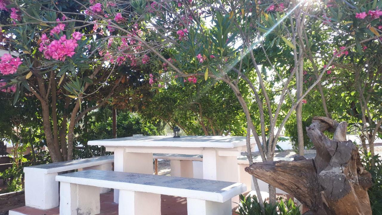 Palacete Dos Alcaides Minas de São Domingos エクステリア 写真